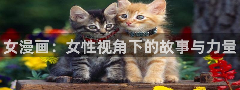 虫虫漫画免费页面在线看漫画：女漫画：女性视角下的故事与力量