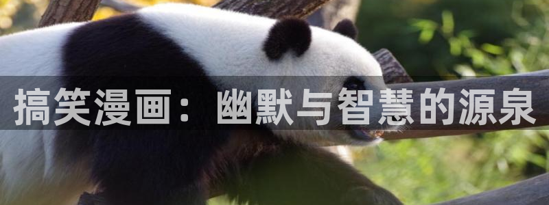 虫虫漫画视频：搞笑漫画：幽默与智慧的源泉